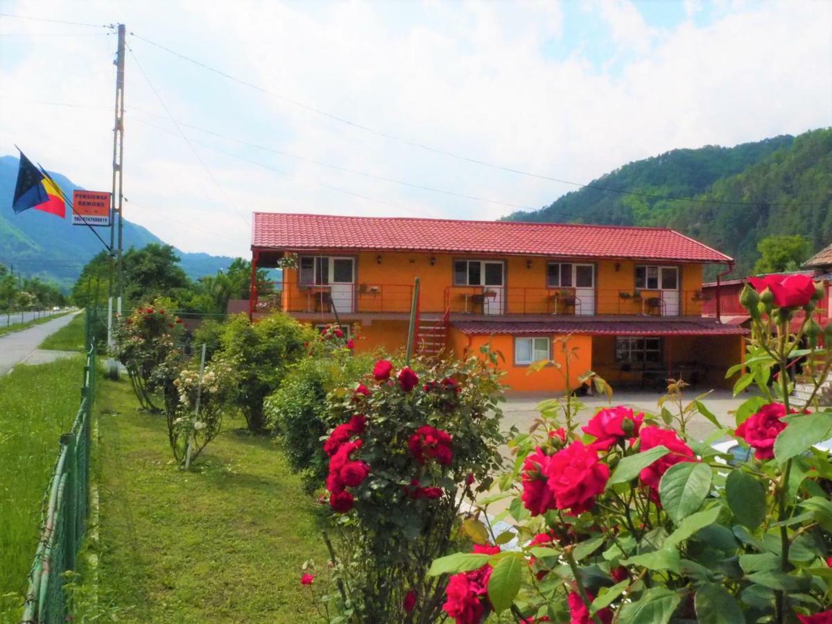 Pensiunea Ramona Brezoi Exterior foto