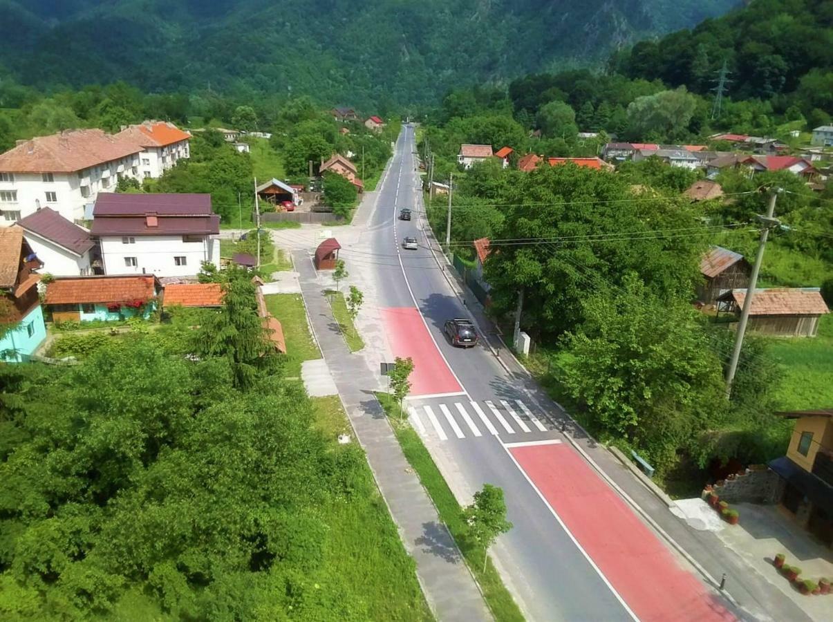 Pensiunea Ramona Brezoi Exterior foto
