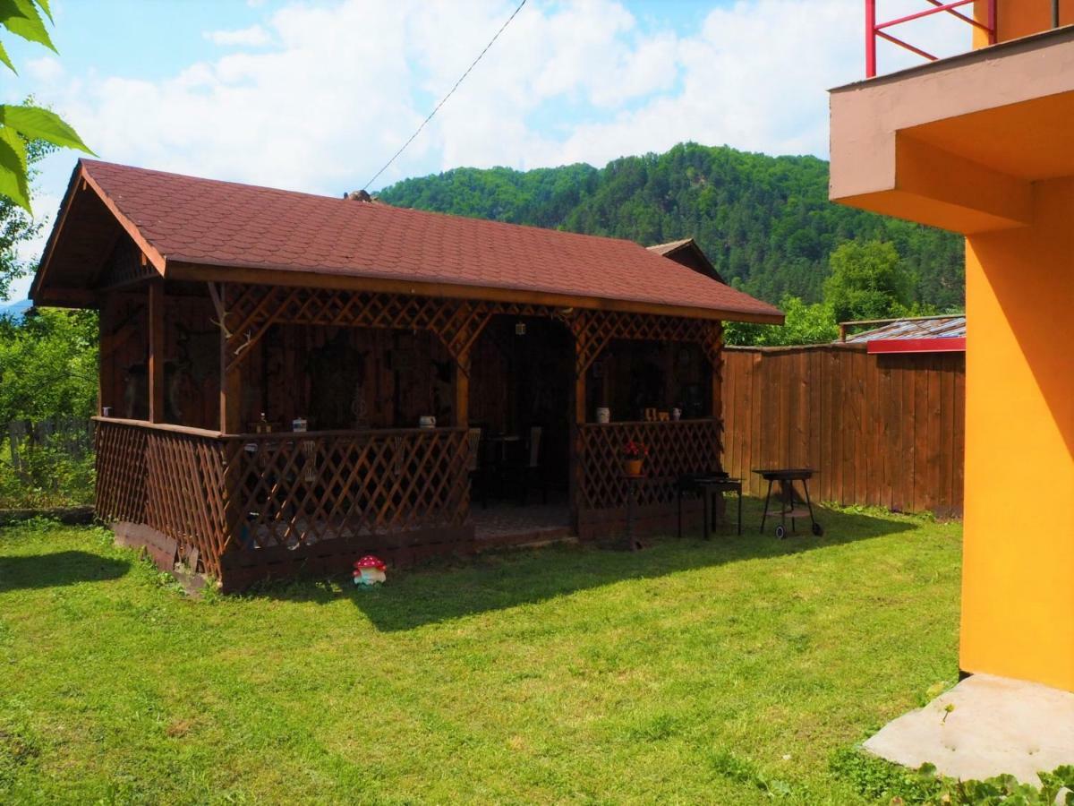 Pensiunea Ramona Brezoi Exterior foto
