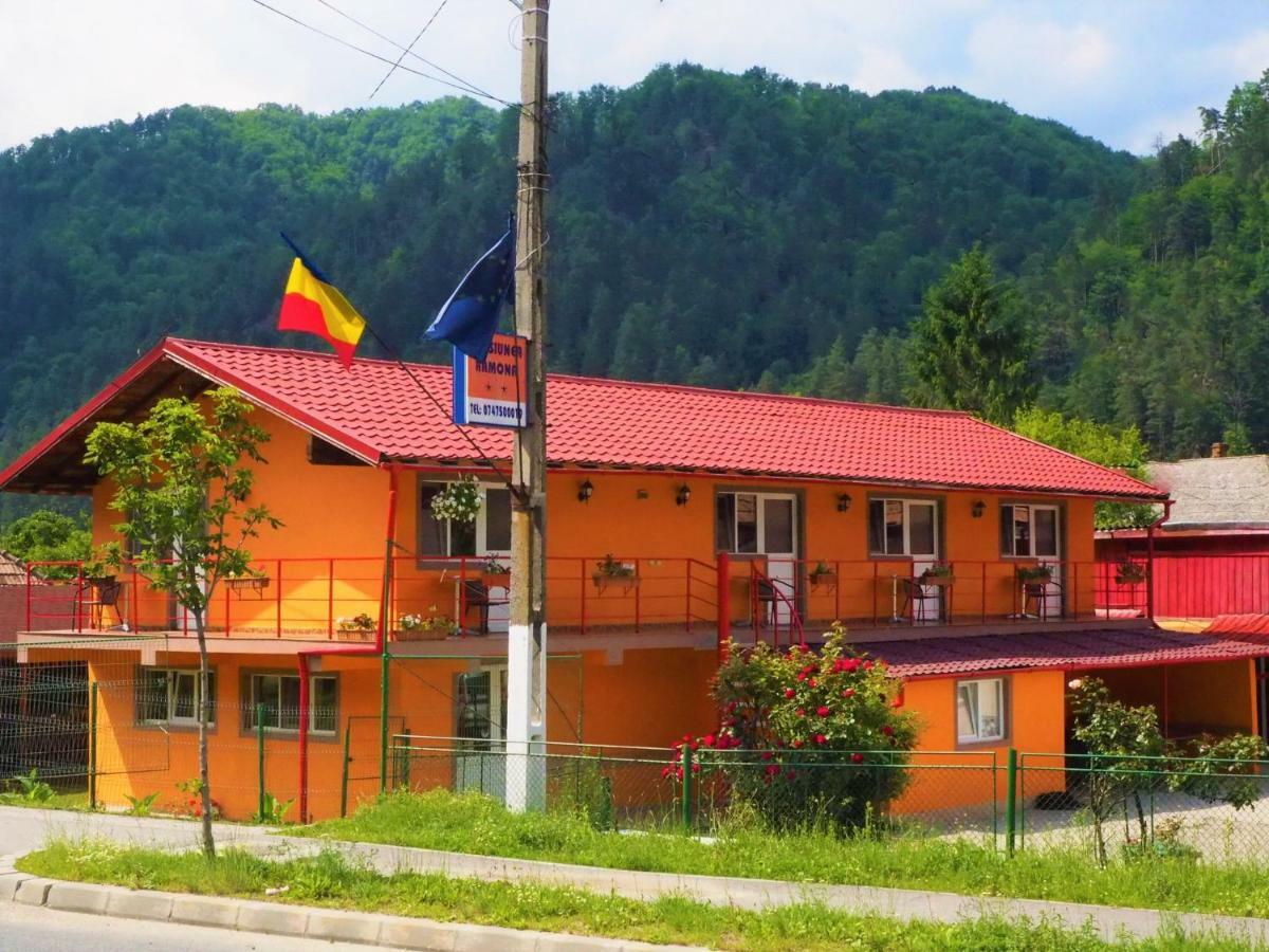 Pensiunea Ramona Brezoi Exterior foto