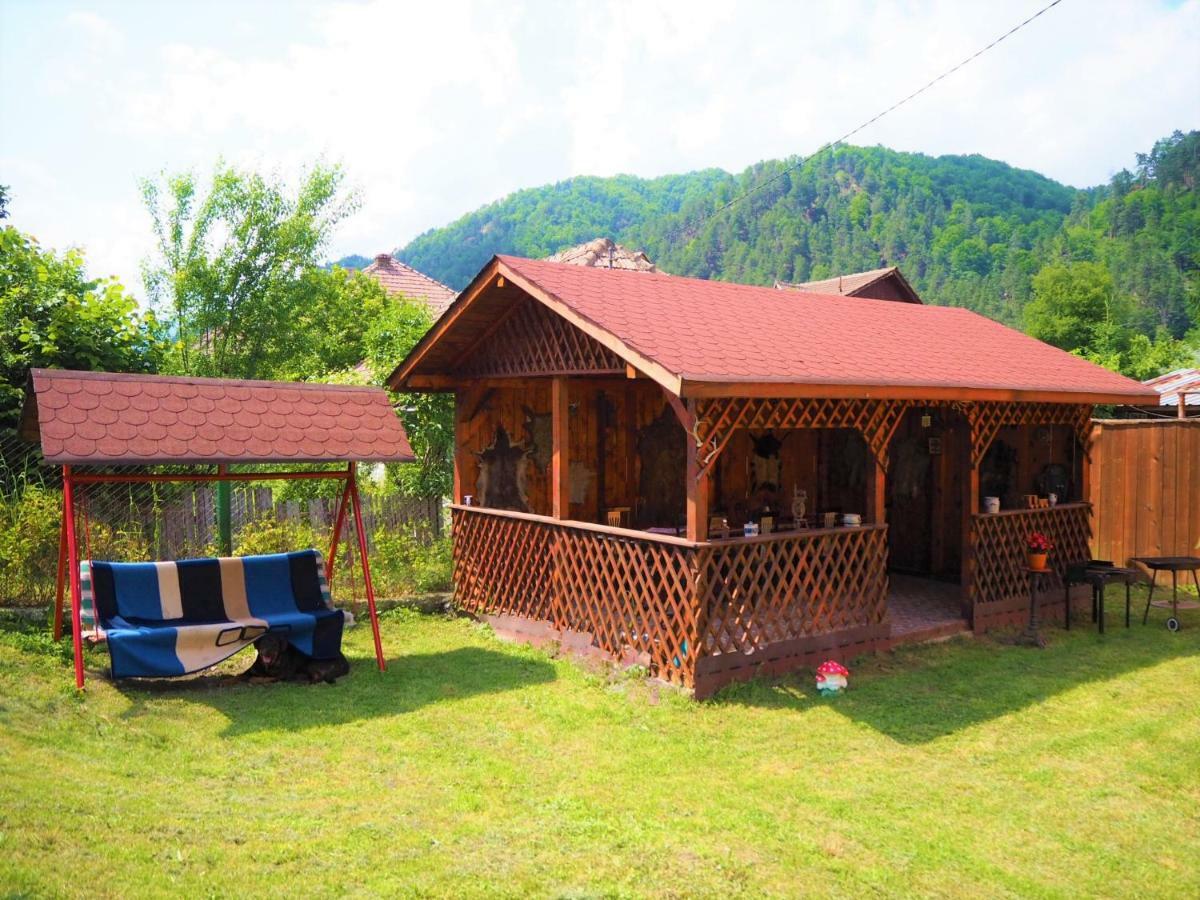 Pensiunea Ramona Brezoi Exterior foto