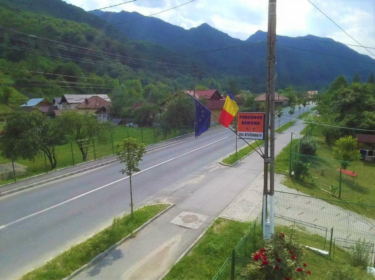 Pensiunea Ramona Brezoi Exterior foto