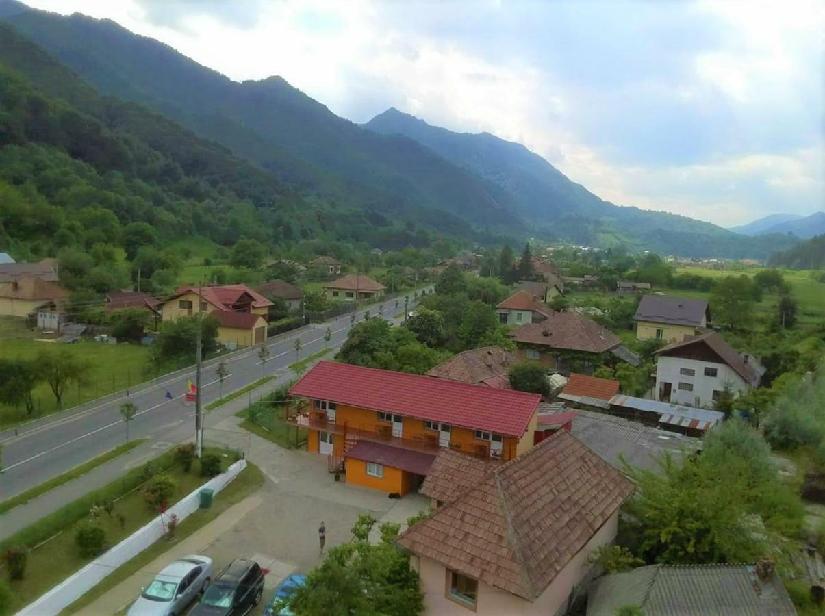 Pensiunea Ramona Brezoi Exterior foto